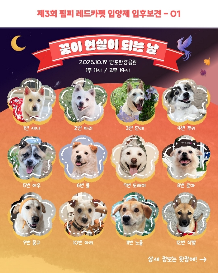 Instagram 'pimfyvirus'