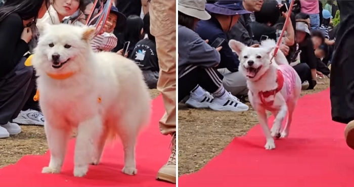 2025-10-02 15 04 55.jpg