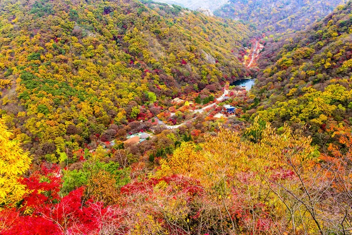 내장산 단풍 / gettyimagesBank