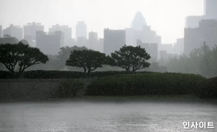 기사의 이해를 돕기 위한 자료 사진 / 사진=인사이트