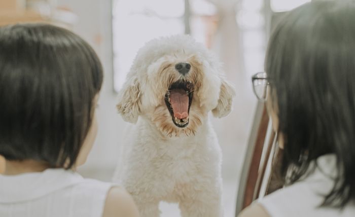 기사와 관련 없는 자료 사진 / gettyimagesBank