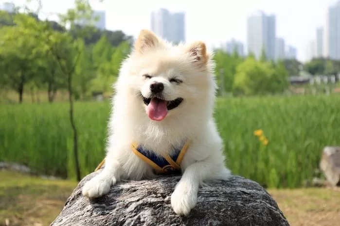 기사의 이해를 돕기 위한 자료 사진 / gettyimagesBank