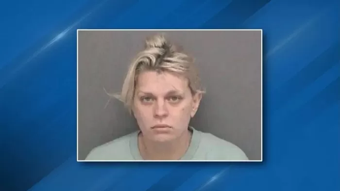 학생들에게 부적절 성행위 강요... 美 30대 여교사 기소