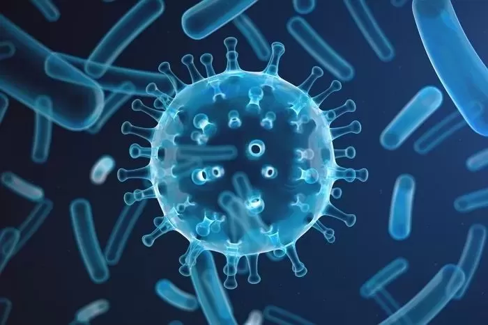 기사의 이해를 돕기 위한 자료 사진 / gettyimagesBank