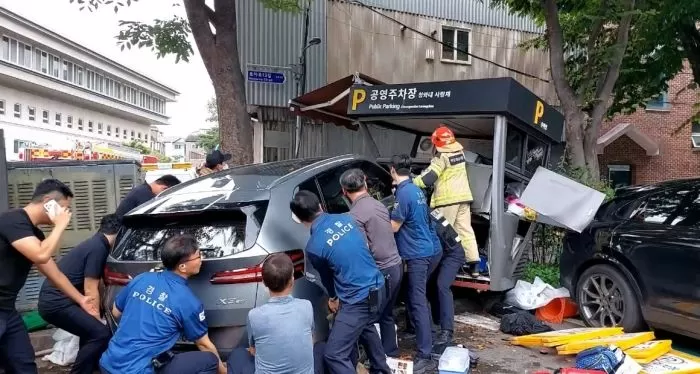 인사이트