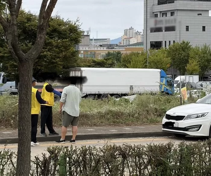 인사이트