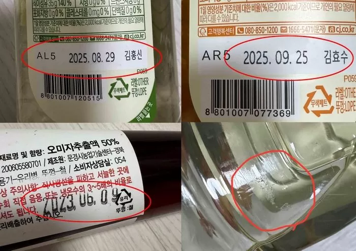 인사이트