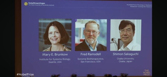 YouTube 'Nobel prize'