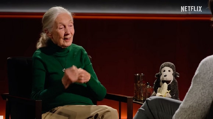 故 제인 구달 “트럼프는 어둠의 축... 추종자들과 우주로 보내버려야 한다”