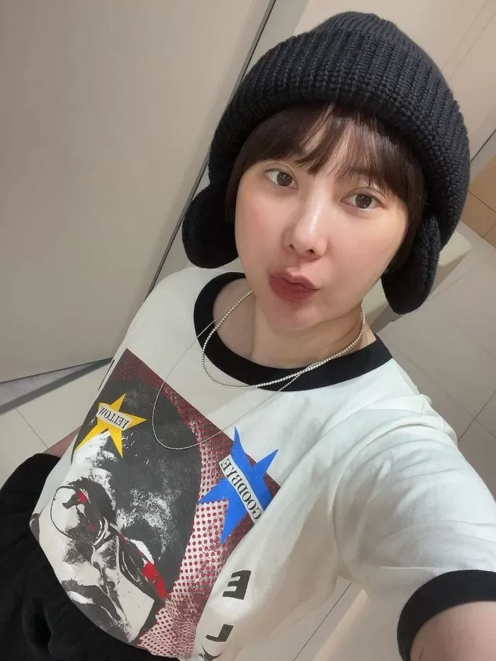 인사이트