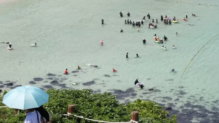 함덕해수욕장에서 피서객들이 더위를 쫓고 있는 모습. / 뉴스1