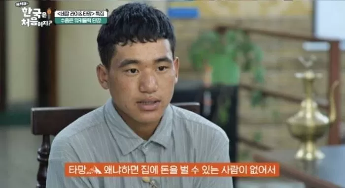 인사이트
