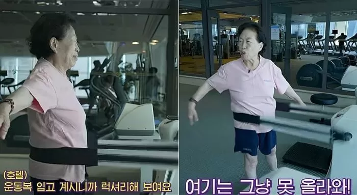 인사이트