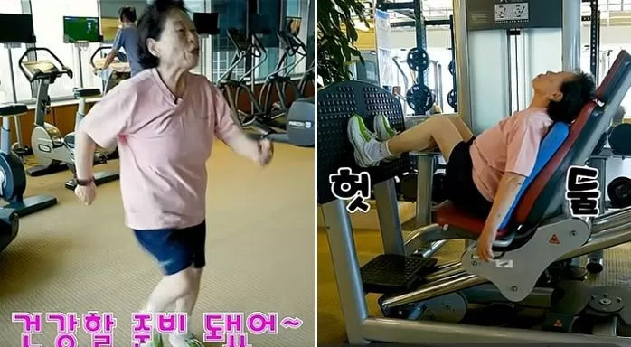 인사이트