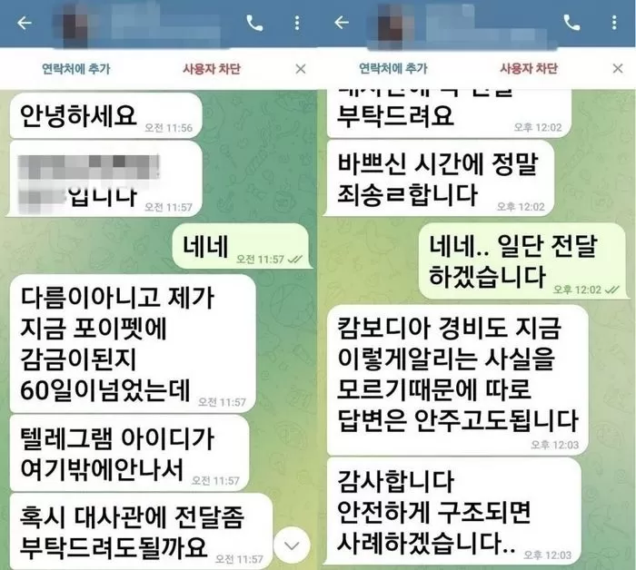 인사이트