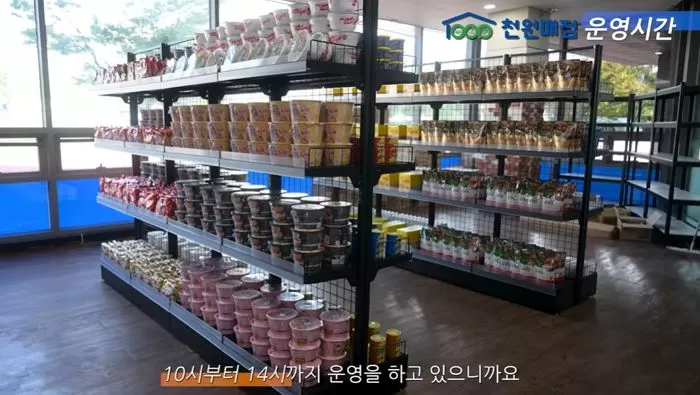 인사이트