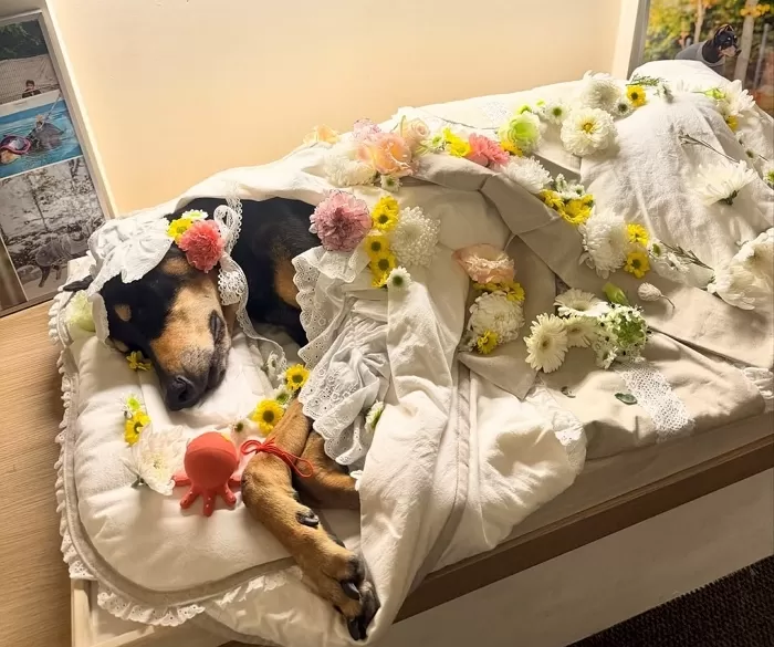 Instagram 'jungnam_bae'