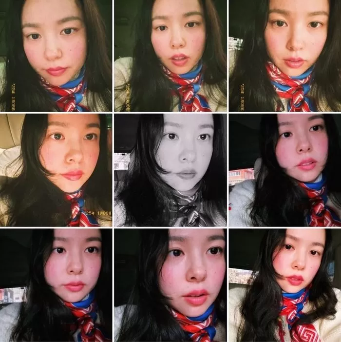 인사이트