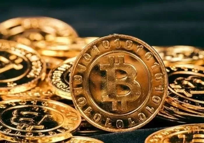 기사의 이해를 돕기 위한 자료 사진 / gettyimagesBank