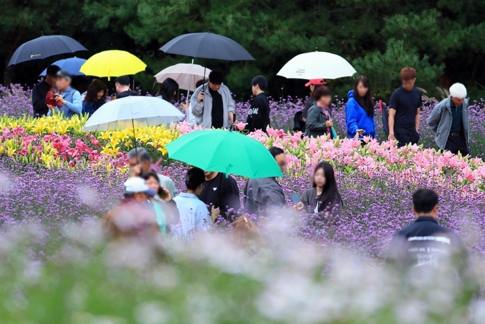 이번주 내내 비 쏟아지고 기온은 뚝 떨어져... 다음주 ‘5도’ 겨울급 추위‘ 온다