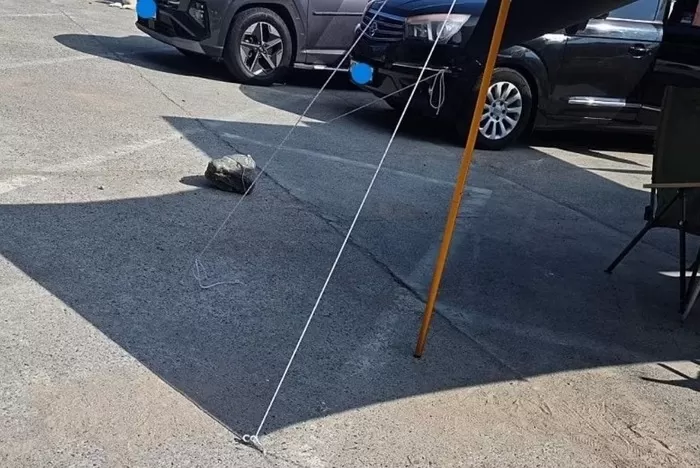 [보배드림 캡처]