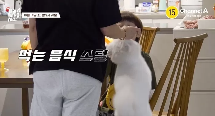 ‘개늑시’ 최악의 문제견 등장... 아이 음식 빼앗고 입질하는 ‘악귀견’에 당황