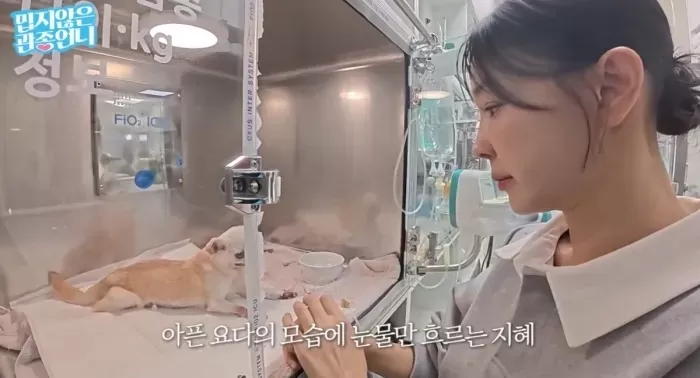 유튜브 채널 ‘밉지않은 관종언니’