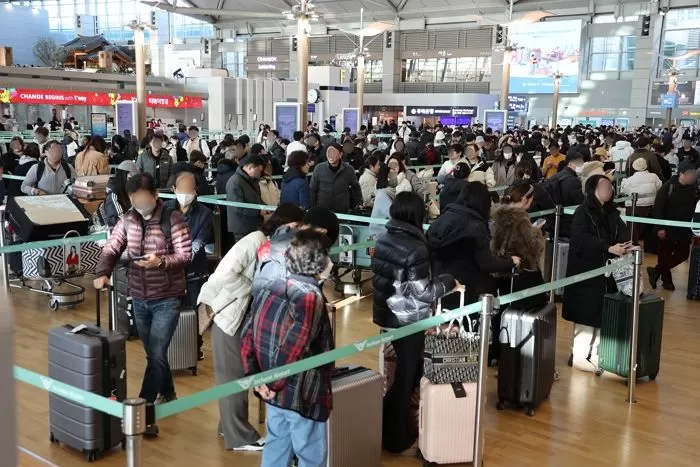 뉴스1 