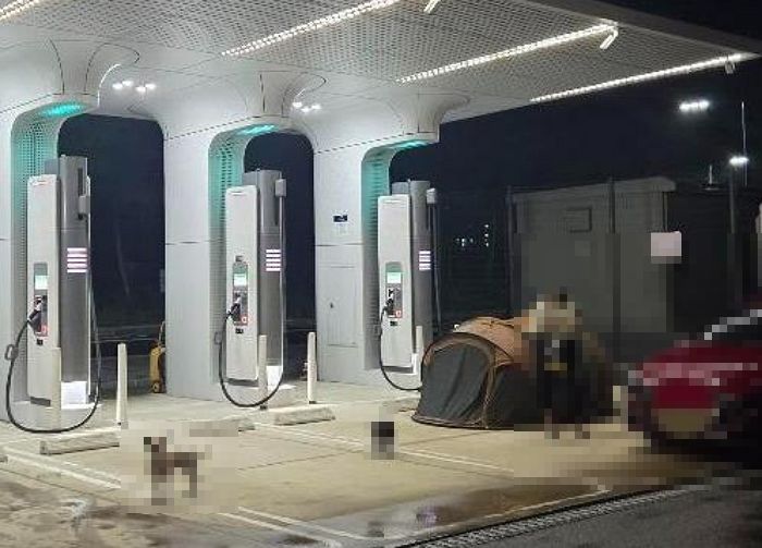 전기차 충전소서 ‘목줄 미착용’ 반려견과 ‘텐트’치고 캠핑... 민폐 캠퍼 어디까지?