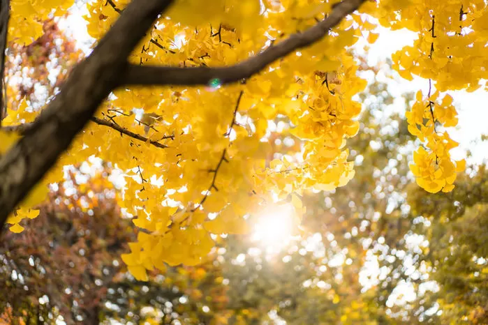 기사의 이해를 돕기 위한 자료 사진 / 뉴스1