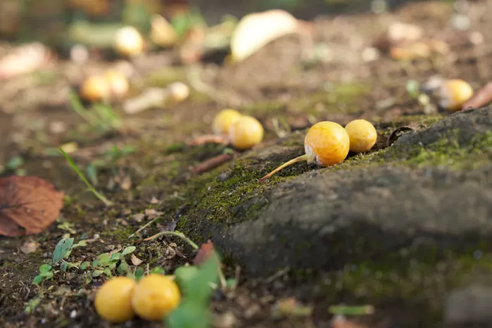 기사의 이해를 돕기 위한 자료 사진 / gettyimagesBank