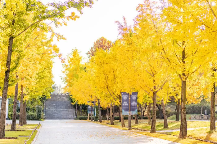 기사의 이해를 돕기 위한 자료 사진 / 뉴스1