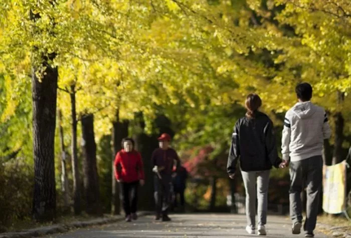 기사의 이해를 돕기 위한 자료 사진 / 뉴스1