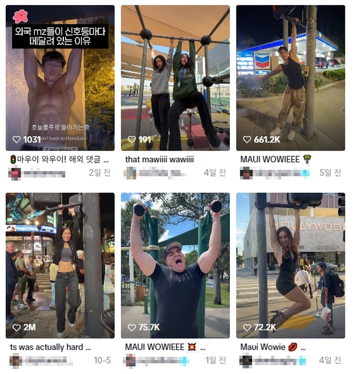 전 세계 휩쓴 ‘마우이 와우이 챌린지’... 신호등 매달리기 유행에 안전 논란