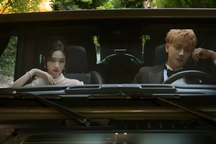 인사이트