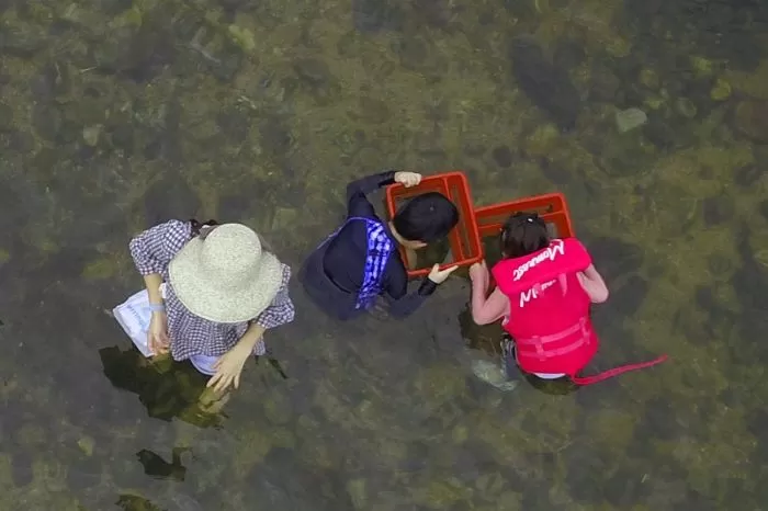기사의 이해를 돕기 위한 자료 사진 / 뉴스1