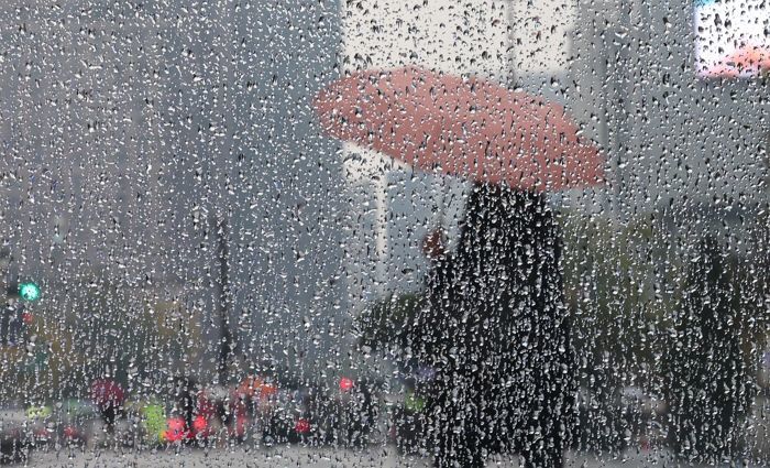 주말 ‘가을비’ 내리고 초겨울 추위 온다... 다음 주 ‘첫눈’ 가능성도