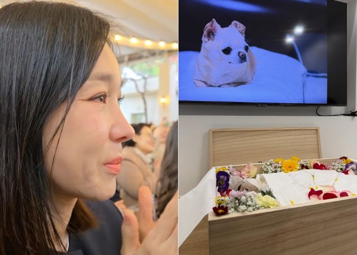 이지혜, 여행 중 안타까운 비보... “늘 곁을 지켜준 아기 무지개다리 건너”