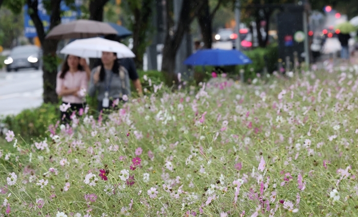 오늘(19일), 전국 대체로 흐리다 맑아져... 오후부터는 기온 ‘뚝’ 떨어진다