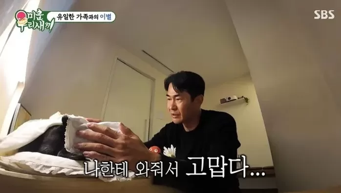 SBS 미운우리새끼 캡처