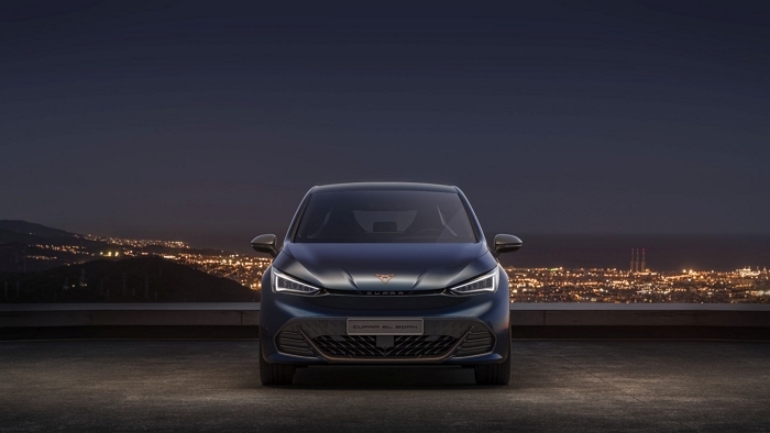 [사진자료2] 아이온 에보 장착 쿠프라 본(Born).jpg