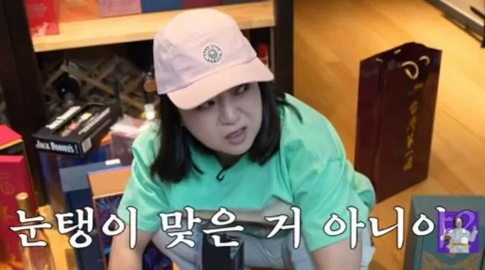 인사이트