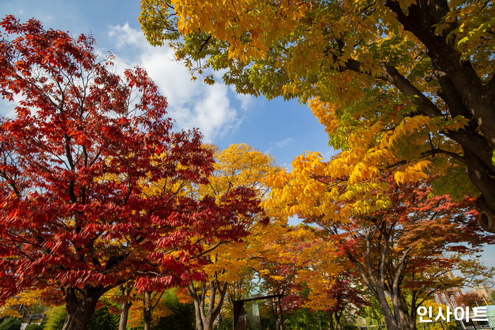 경복궁부터 석촌호수까지... 지하철로 떠나는 ‘서울 단풍 명소’ 8곳