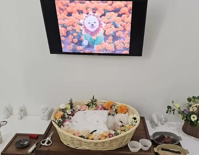 Instagram 'run_darly'