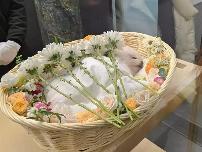 Instagram 'run_darly'