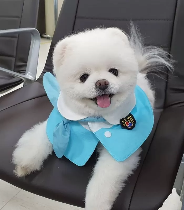 Instagram 'run_darly'