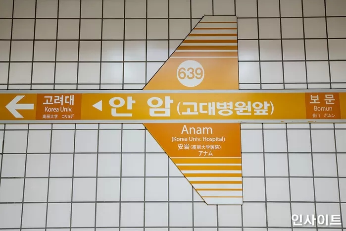 인사이트