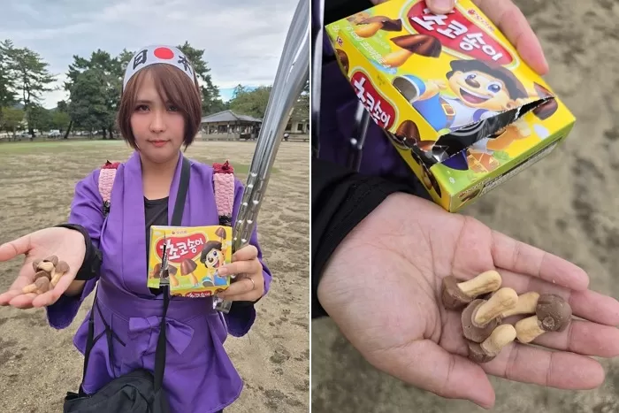 일본 사슴공원서 먹다 남은 ‘오리온 초코송이’ 발견 주장... “현지에 ‘진짜 초코송이’ 있는데, 왜?”