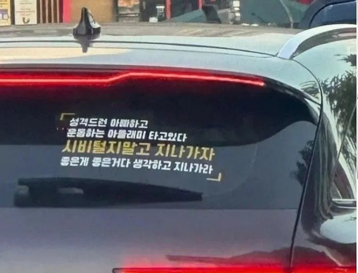 인사이트