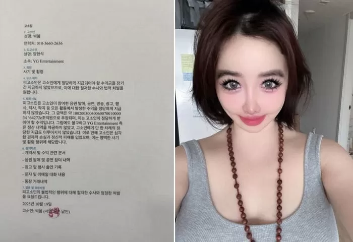 인사이트
